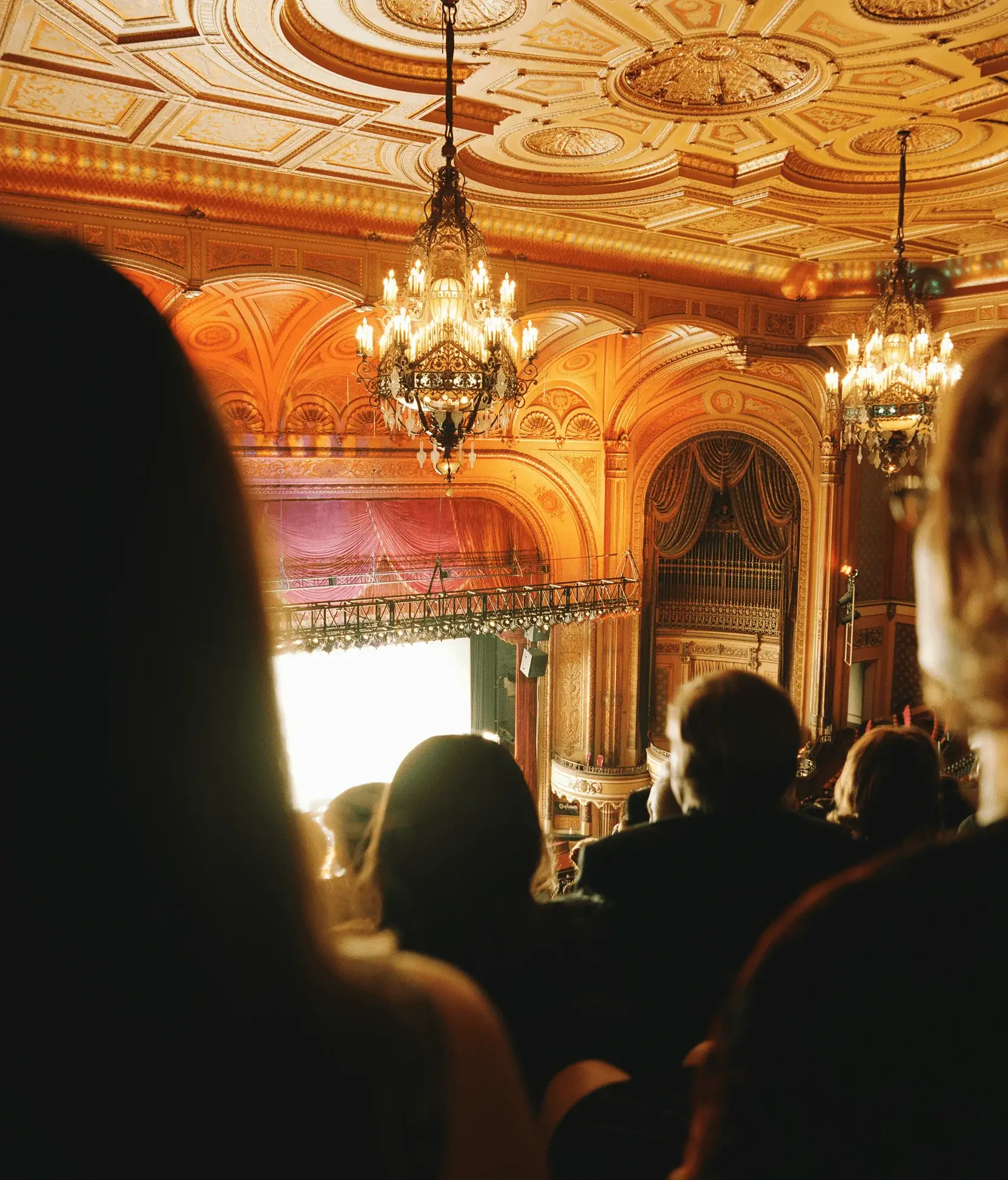 Experience Luxury Evenings with Live Performances